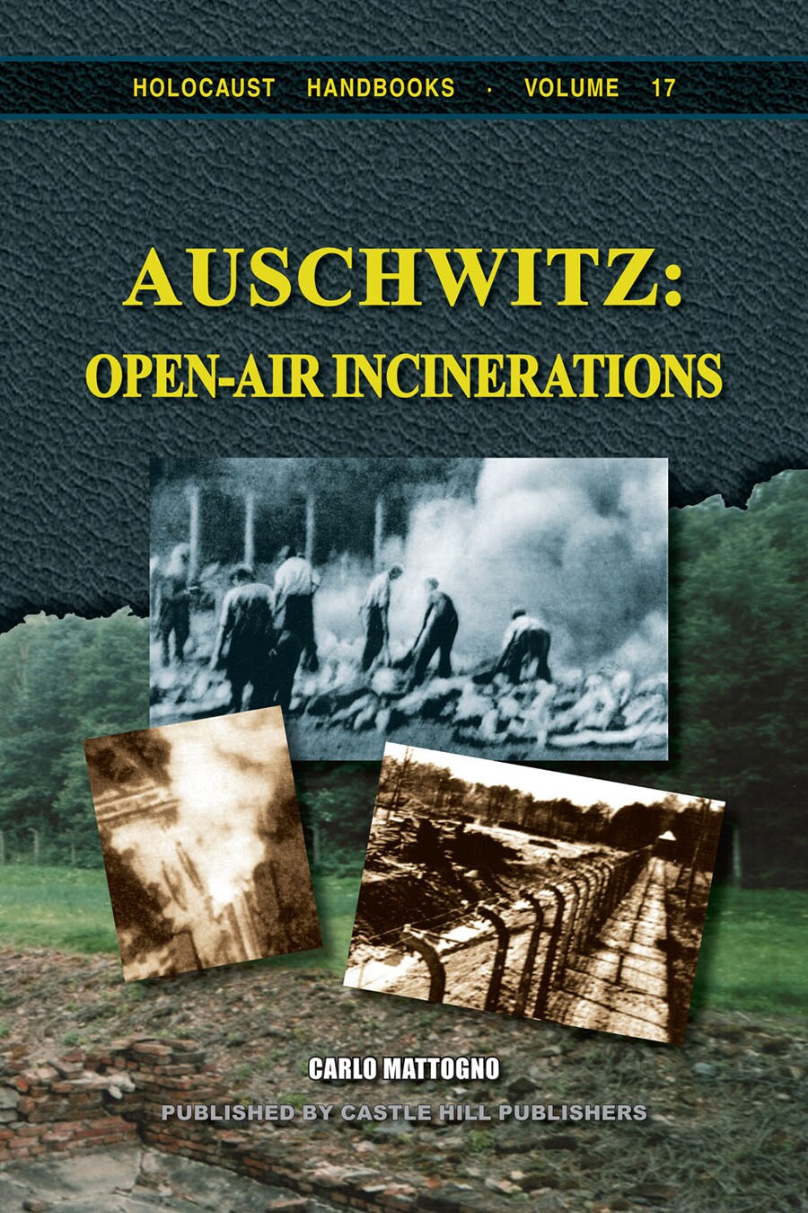 Auschwitz: Open-Air Incinerations