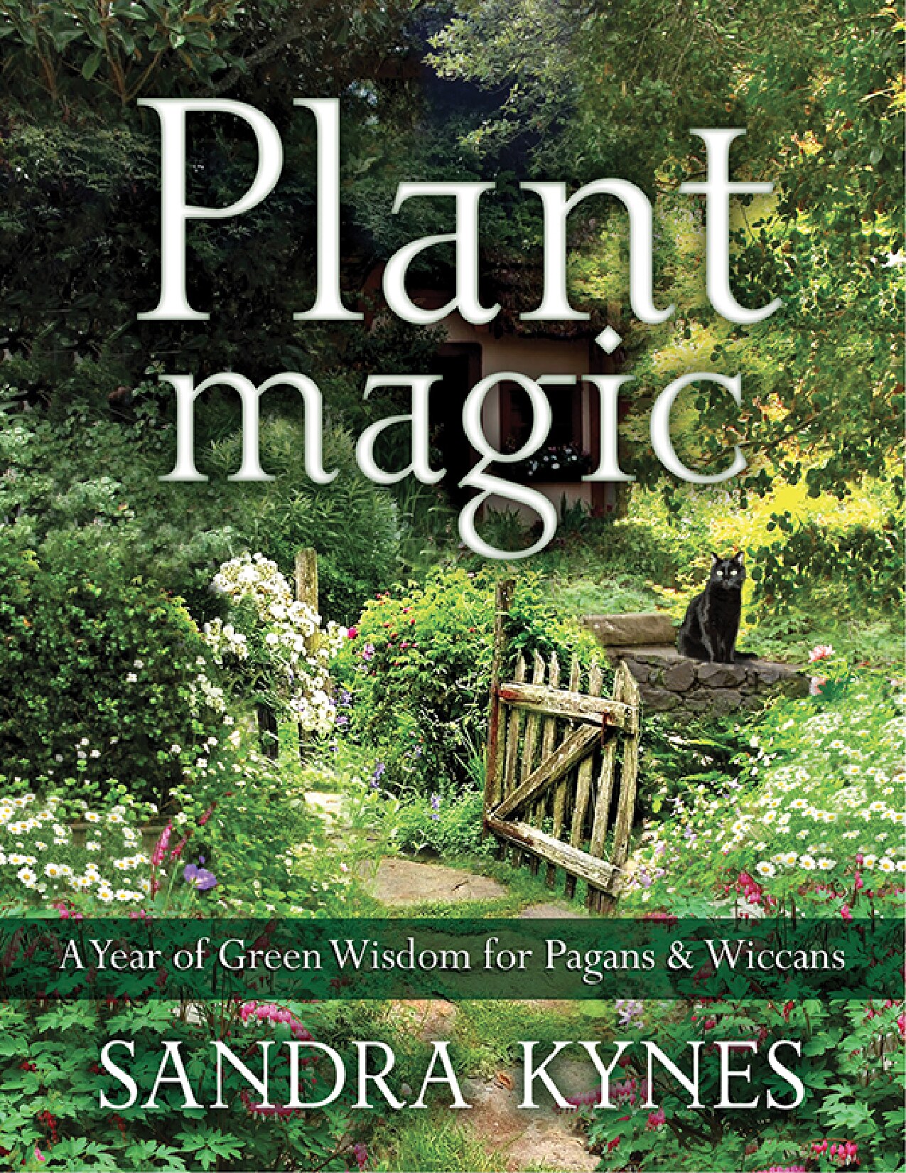 Plant Magic